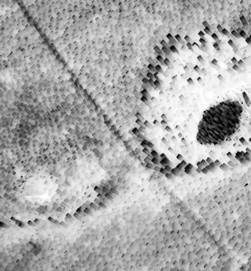 Metamorphosis ph. 10